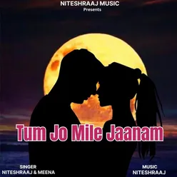 Tum Jo Mile Jaanam